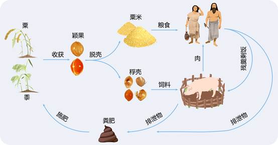 图示, 日程表描述已自动生成